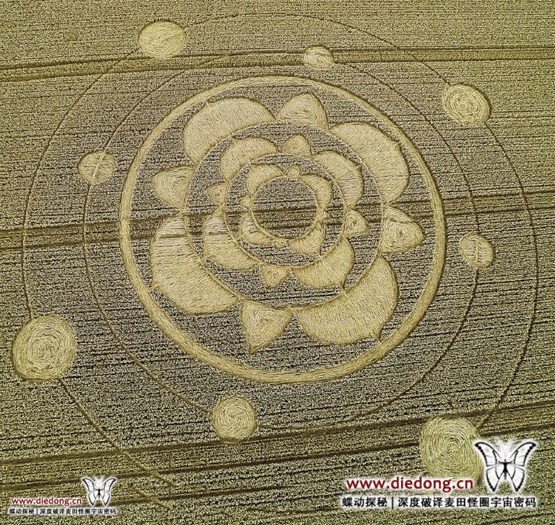 2015年7月29日英国Furzefield Shaw麦田怪圈