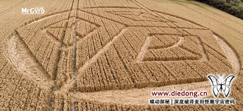 2015年7月19日英国Ockley Hill麦田怪圈
