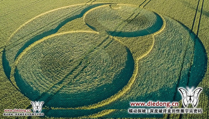 2015年7月21日英国The Belt麦田怪圈