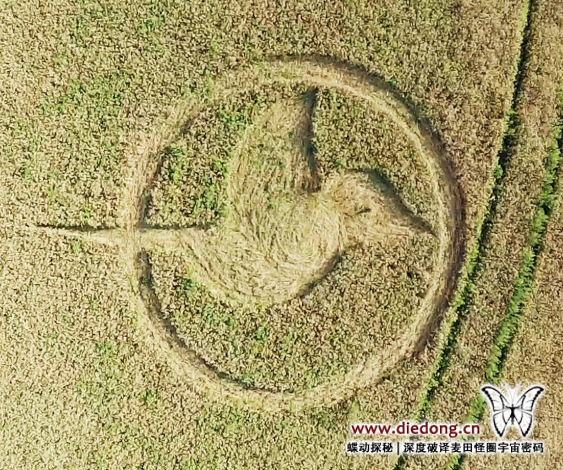 2015年8月4日德国Friederikenhof nr Diedersdorf麦田怪圈