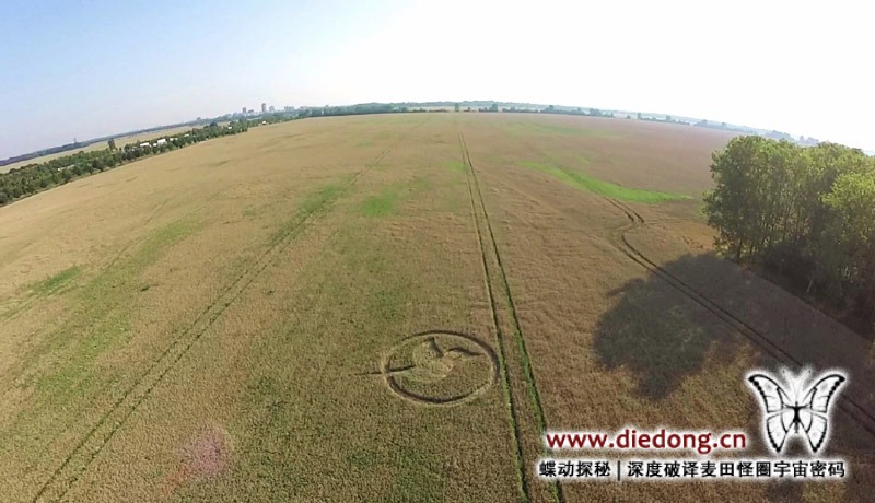 2015年8月4日德国Friederikenhof nr Diedersdorf麦田怪圈