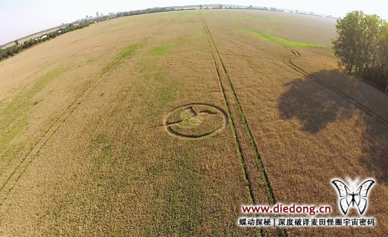 2015年8月4日德国Friederikenhof nr Diedersdorf麦田怪圈