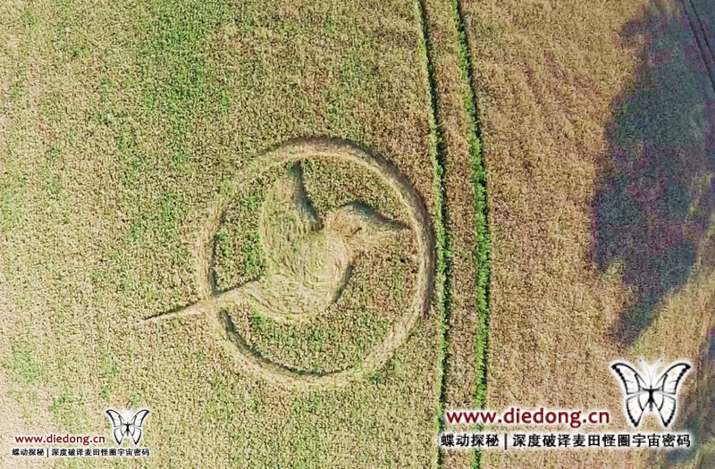 2015年8月4日德国Friederikenhof nr Diedersdorf麦田怪圈