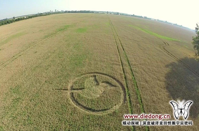 2015年8月4日德国Friederikenhof nr Diedersdorf麦田怪圈