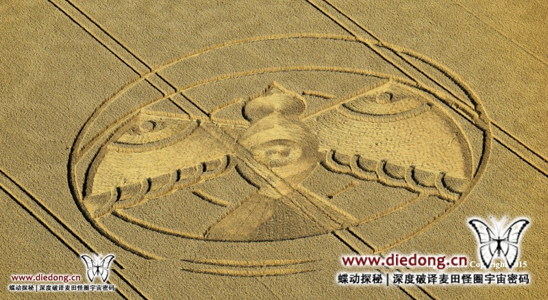 2015年8月8日英国Hampton Lucy麦田怪圈