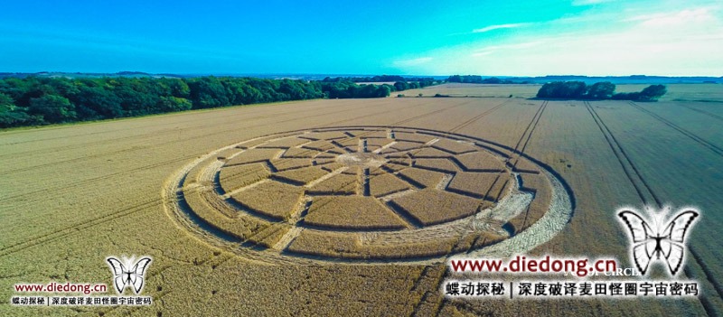 2015年8月8日英国Ox Drove麦田怪圈