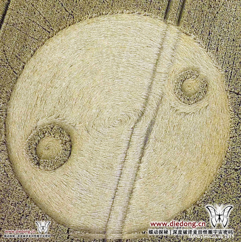 2015年8月10日英国Steeraway麦田怪圈