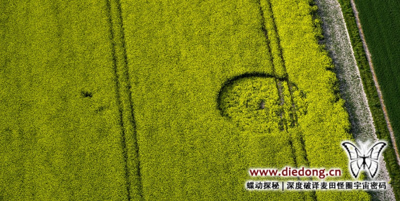 2016年5月11日英国East Field麦田怪圈