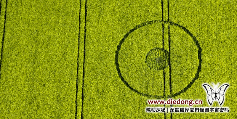 2016年5月16日英国Greenstreet麦田怪圈