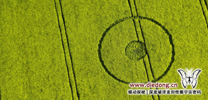 2016年5月16日英国Greenstreet麦田怪圈