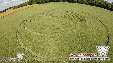 2016年6月24日英国Fulley Wood麦田怪圈