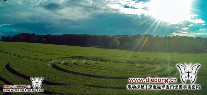 2016年6月24日英国Fulley Wood麦田怪圈