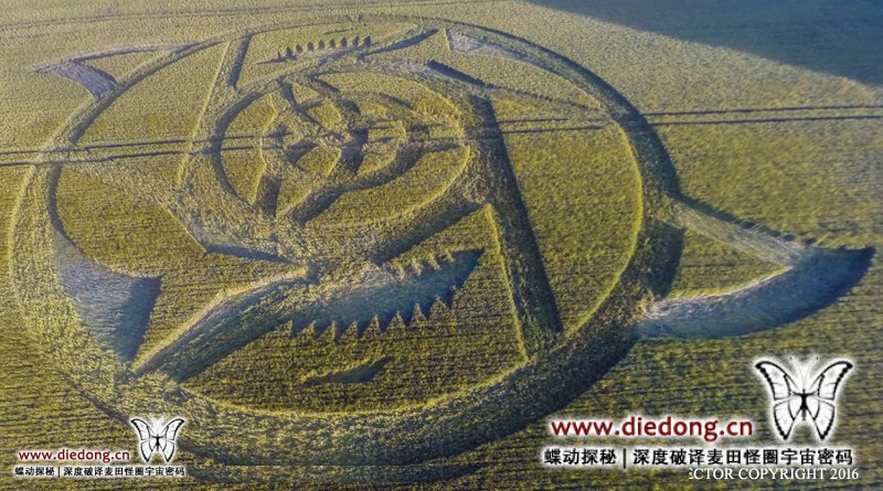 2016年6月23日英国The Ridgeway麦田怪圈