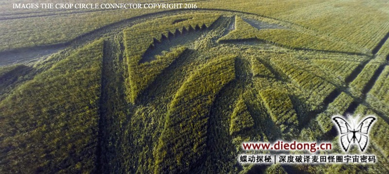 2016年6月23日英国The Ridgeway麦田怪圈