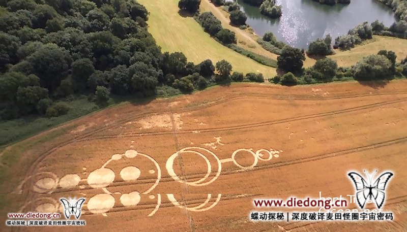 2016年7月24日英国The Forests Way麦田怪圈
