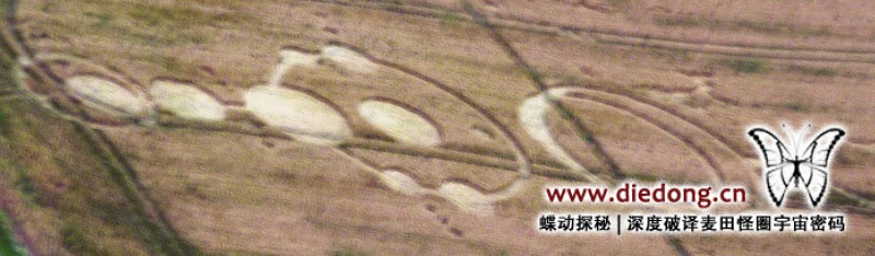 2016年7月24日英国The Forests Way麦田怪圈