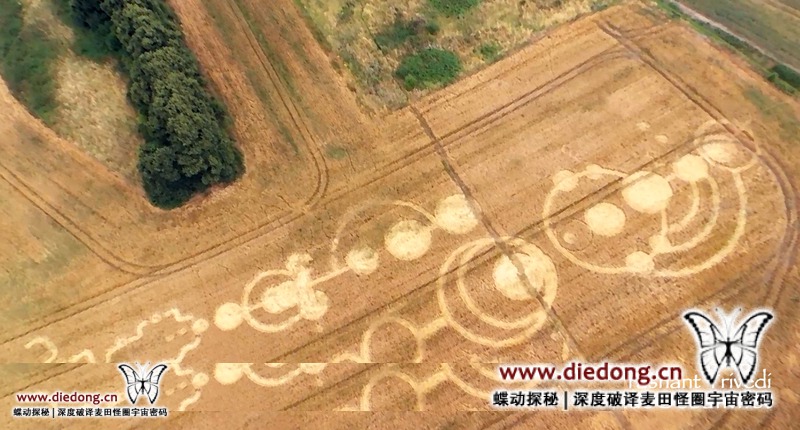 2016年7月24日英国The Forests Way麦田怪圈