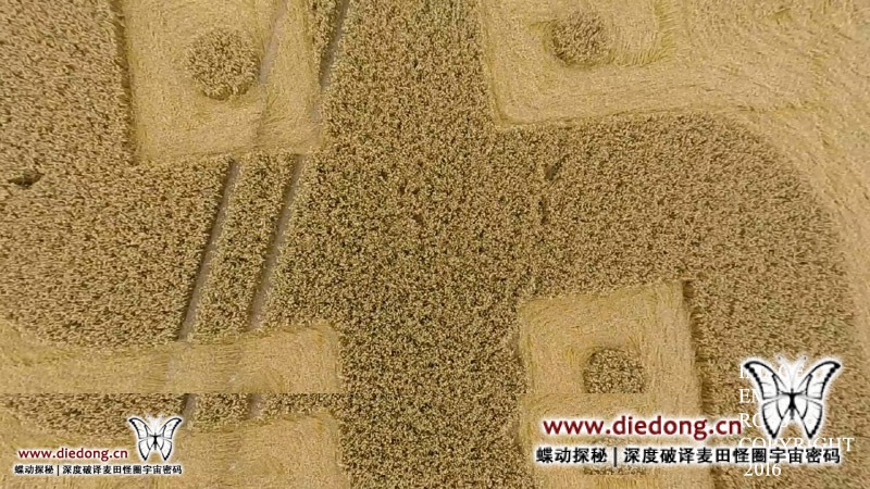 2016年8月27日英国Cooks Plantation麦田怪圈