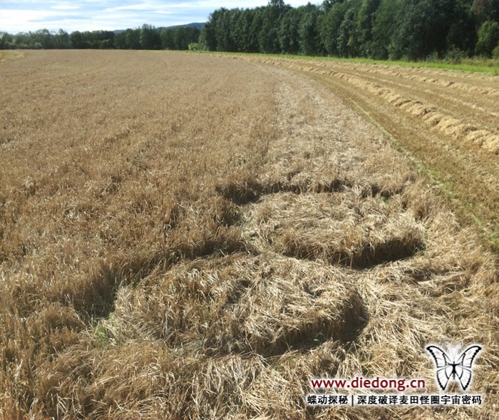 2016年9月2日挪威Skogvollenga Farm麦田怪圈