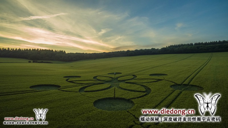 2017年5月30日英国Fonthill Down麦田怪圈