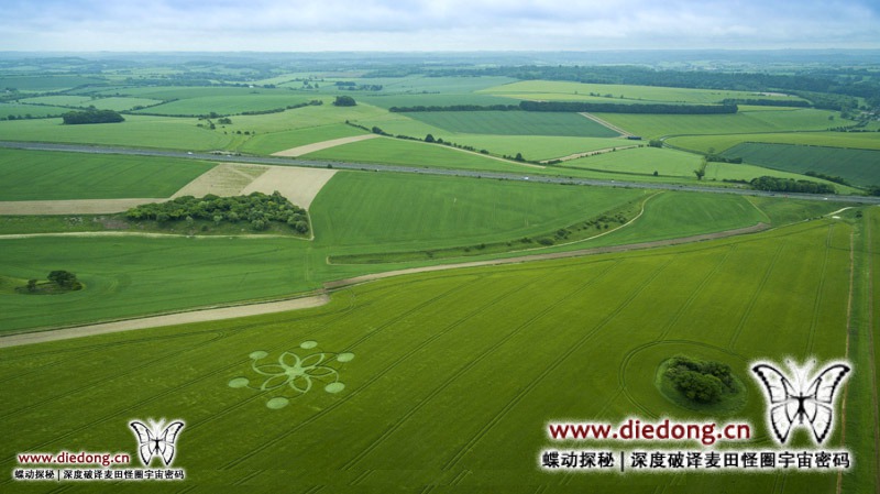 2017年5月30日英国Fonthill Down麦田怪圈