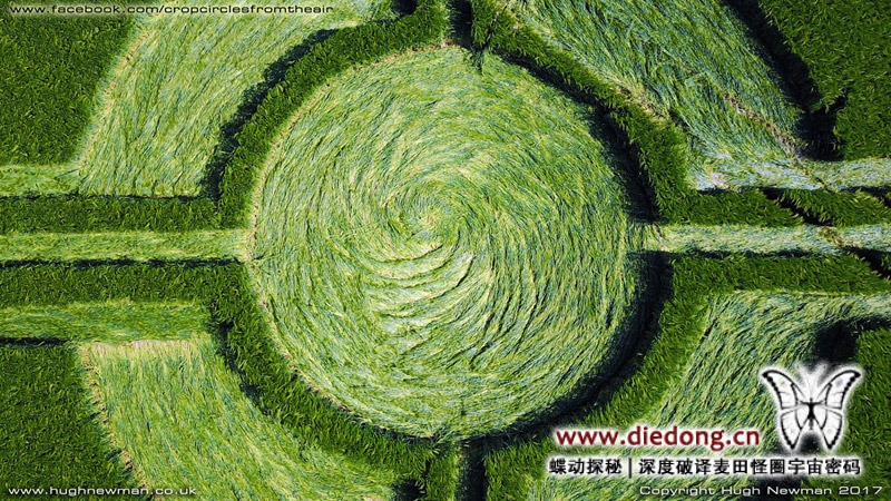2017年5月25日英国The White Horse麦田怪圈