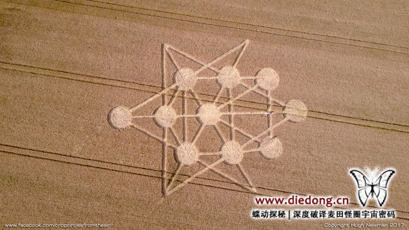 2017年6月16日英国Target Wood麦田怪圈