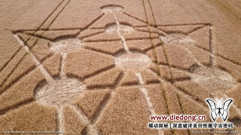 2017年6月16日英国Target Wood麦田怪圈