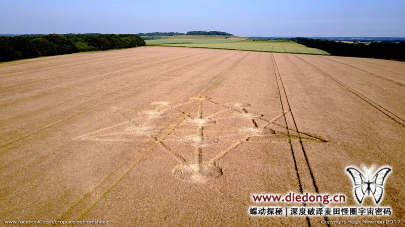 2017年6月16日英国Target Wood麦田怪圈