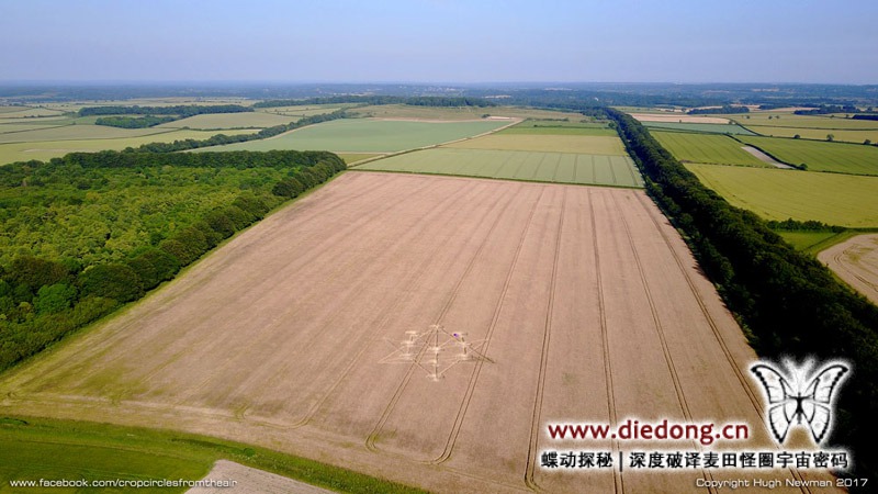2017年6月16日英国Target Wood麦田怪圈