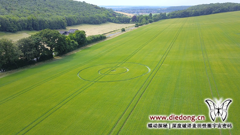 2018年7月1日英国Pancake Plantation麦田怪圈