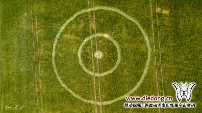 2018年7月1日英国Pancake Plantation麦田怪圈