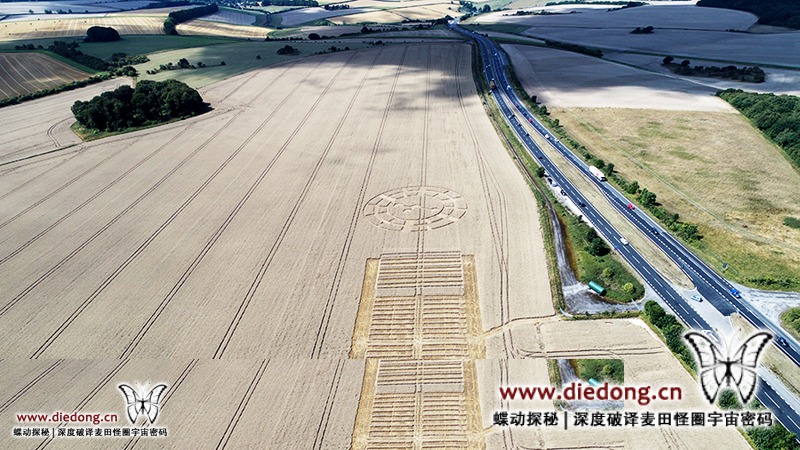 2018年8月13日英国Monarch's Way麦田怪圈