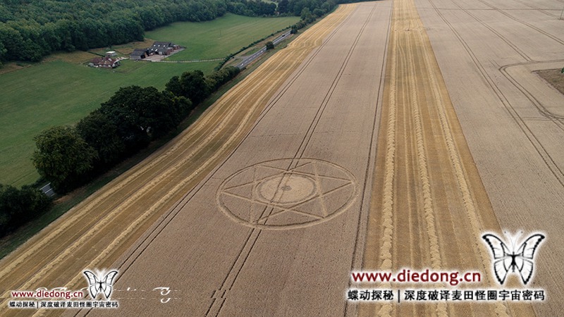 2018年8月19日英国Pancake Plantation麦田怪圈