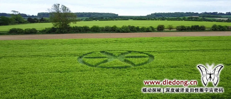 2019年5月26日英国Spiers Lane麦田怪圈
