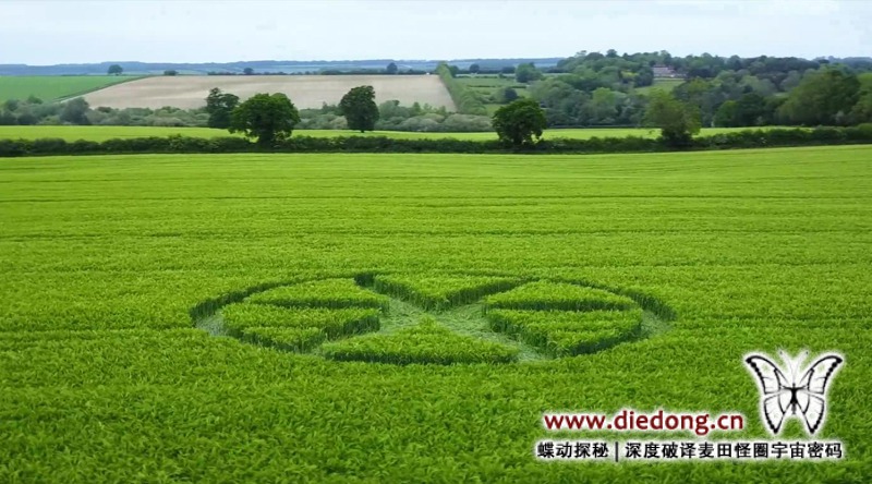 2019年5月26日英国Spiers Lane麦田怪圈