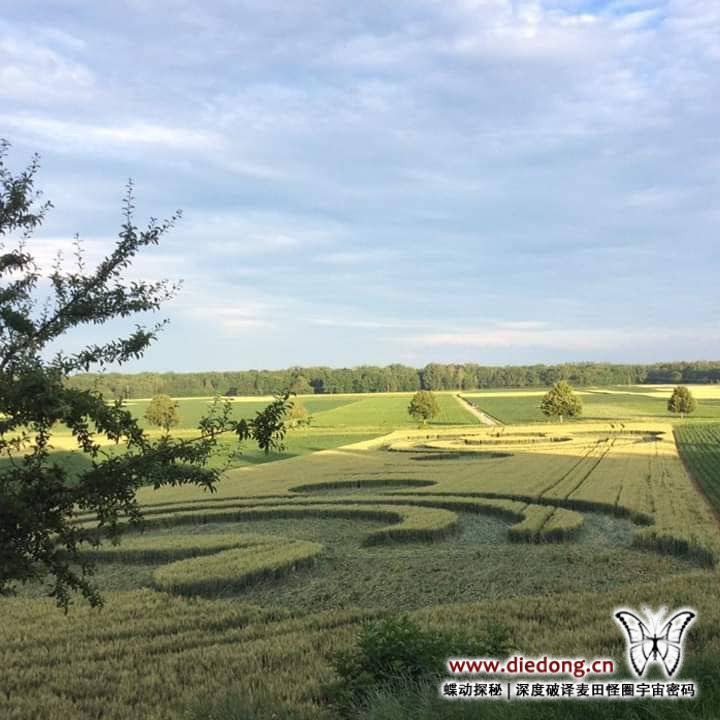2019年6月18日法国Blaesheim near Strasbourg麦田怪圈