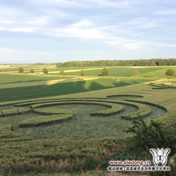 2019年6月18日法国Blaesheim near Strasbourg麦田怪圈