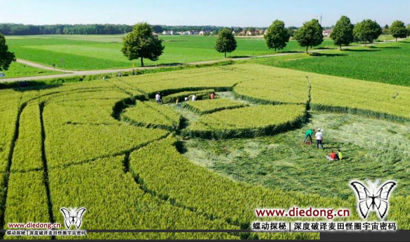 2019年6月18日法国Blaesheim near Strasbourg麦田怪圈