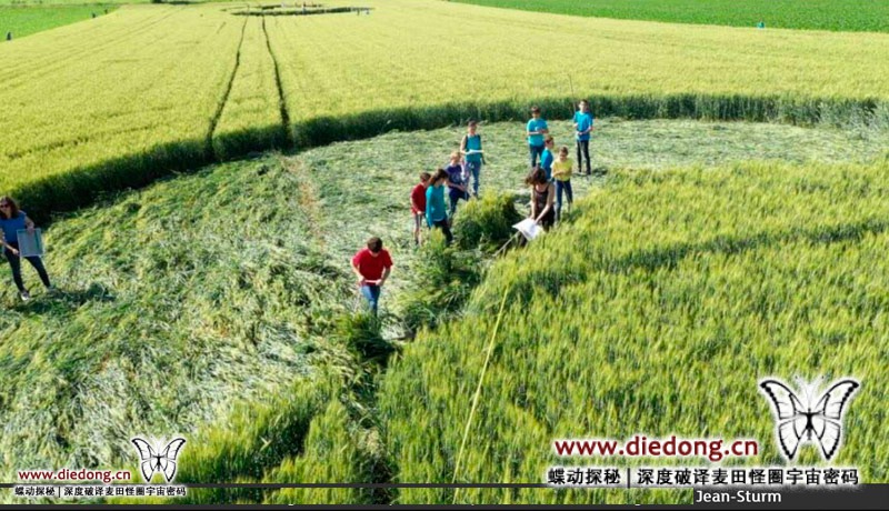 2019年6月18日法国Blaesheim near Strasbourg麦田怪圈