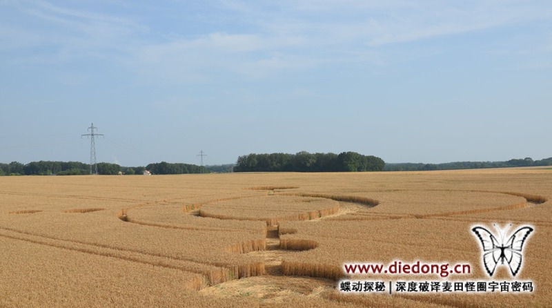 2019年6月28日法国Lidon麦田怪圈