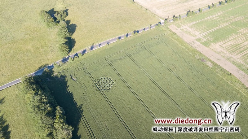 2019年6月17日法国St-Jean of Bassel麦田怪圈