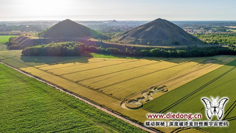 2019年6月30日法国Twin Terrils麦田怪圈