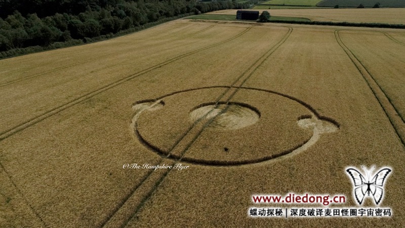 2019年6月29日英国Scrubbs Lane麦田怪圈