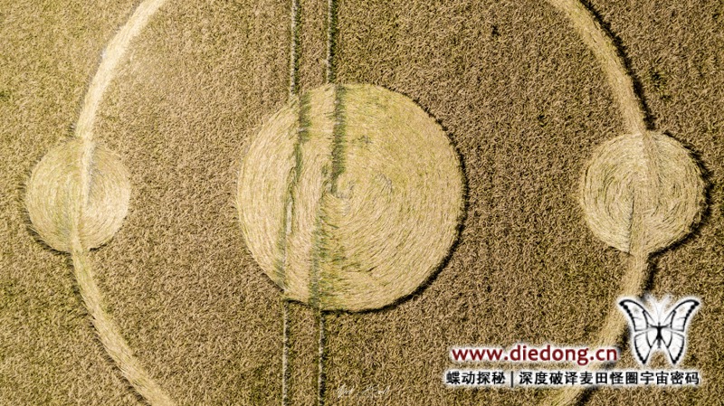 2019年6月29日英国Scrubbs Lane麦田怪圈