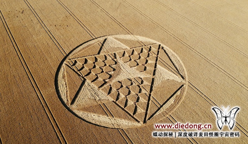 2019年7月28日英国Cocum Farm麦田怪圈