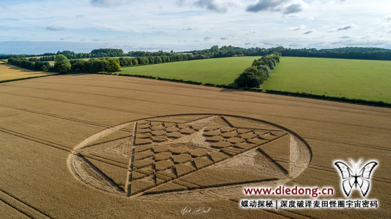 2019年7月28日英国Cocum Farm麦田怪圈