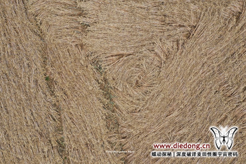 2019年7月28日英国Cocum Farm麦田怪圈