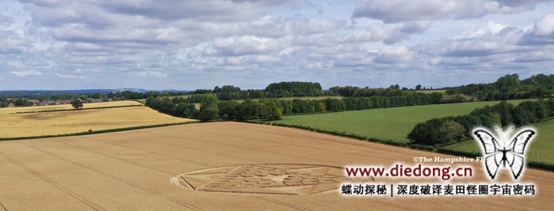 2019年7月28日英国Cocum Farm麦田怪圈