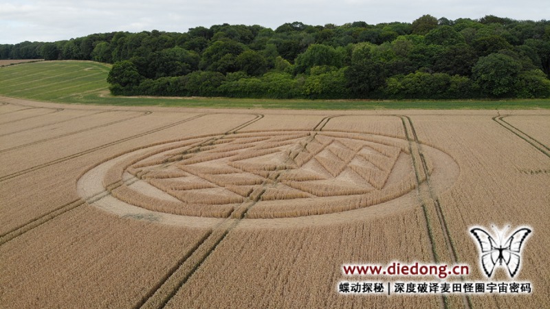 2019年7月16日英国Rodfield Lane麦田怪圈